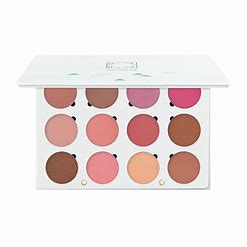 Palette Makeup Blush