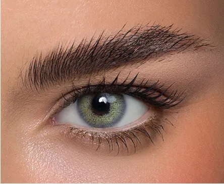 Anestesia Anesthtic Gris