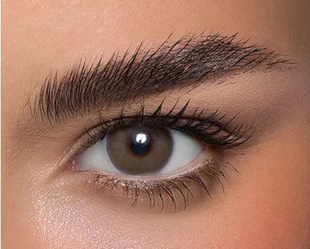 Anestesia Usa L.A Cinnamon