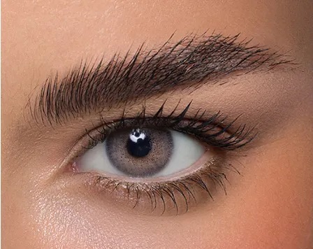 Anestesia Usa Chicago Apricot