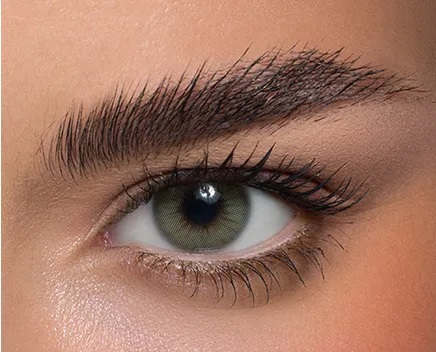 Anestesia Addict Arena