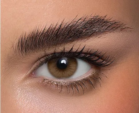 Anestesia Addict Castano