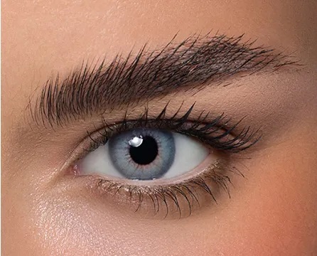 Anesthesia Once Graylsh