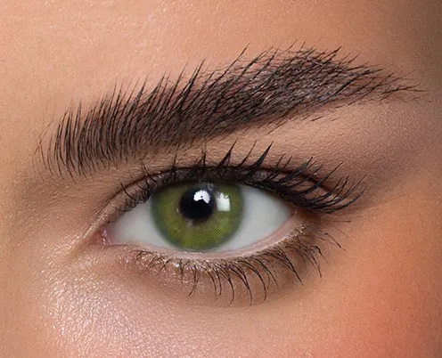 Anestesia Anesthetic Fonesta