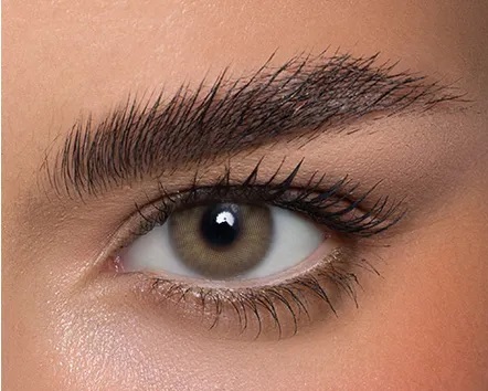 Anestesia Anesthtic Tan