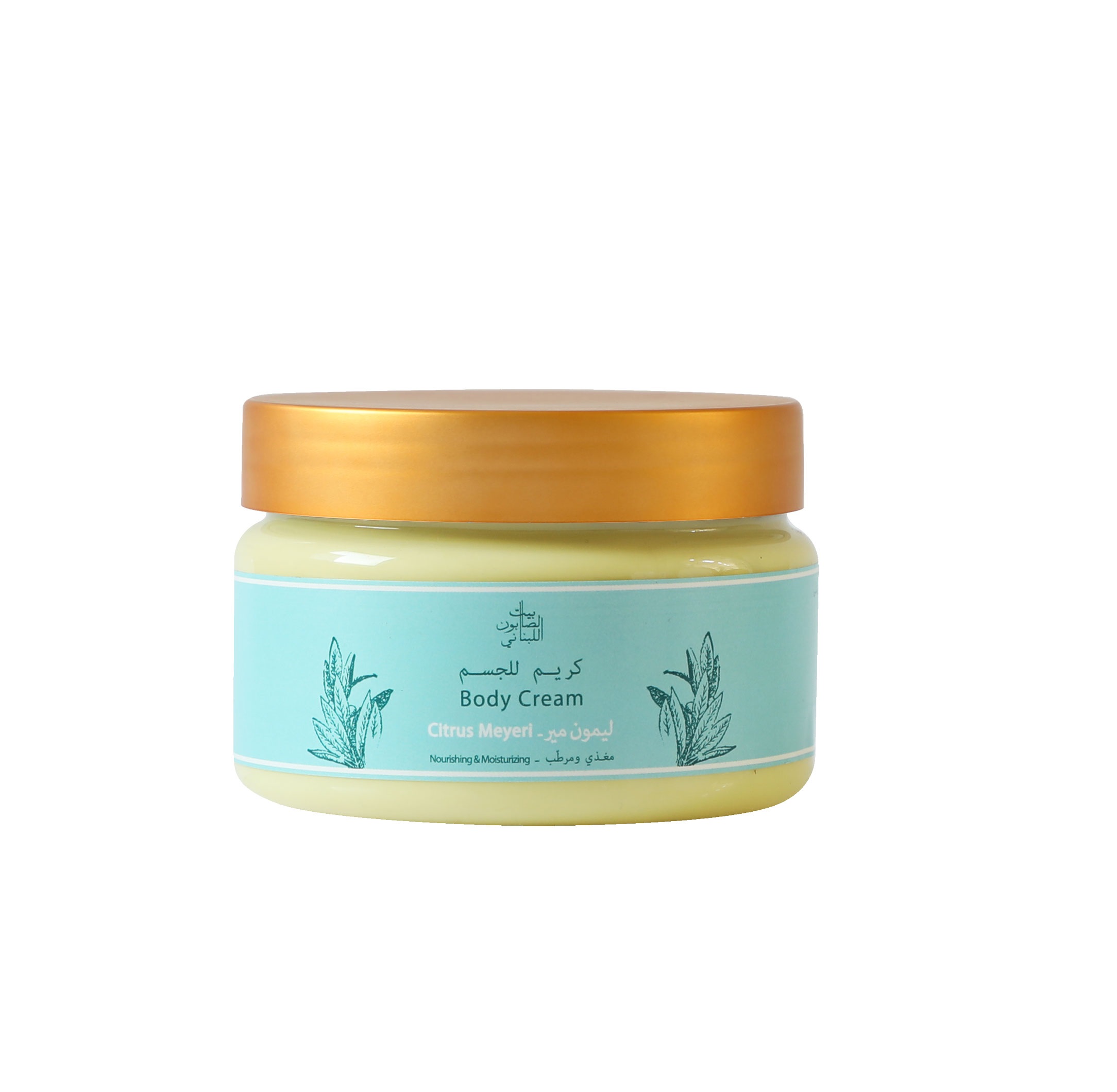B S Body Cream Citrus Meyeri