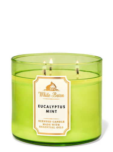 Bath Body Works Eucalyrptus Mint Candle 411G