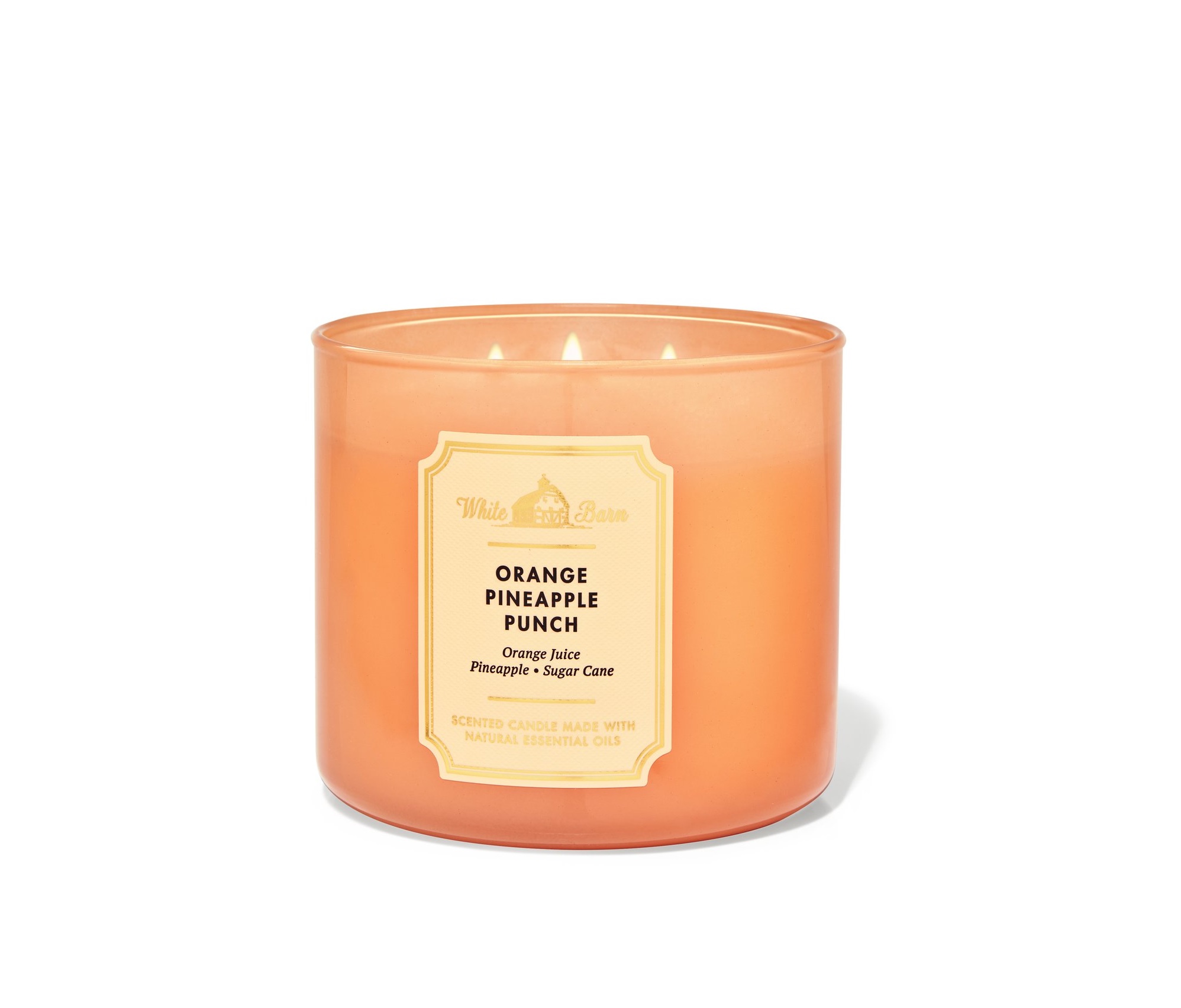 Bath & Body Works Orange Pineapple Punch Candle